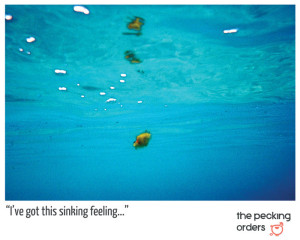 Post_Sinking_20131106_web