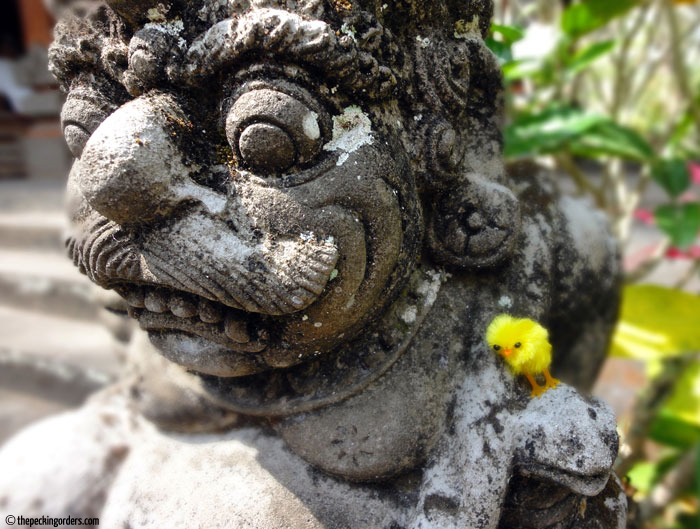 The chicken and I in Bali, Pecking Orders, travel, photo, Goa Gajah, temple