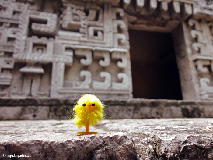 The chicken and I in Mexico, Pecking Orders, travel, photo, Museum