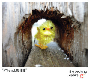 All pissed off in a tunnel...